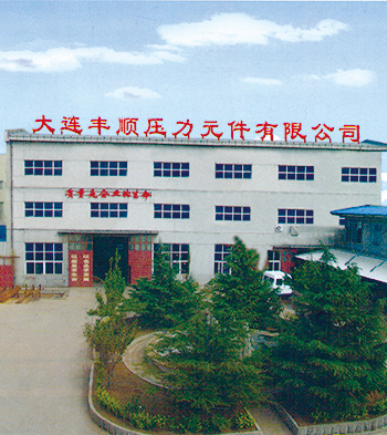 壓力(lì)管道元件 壓力管(guan)道元件